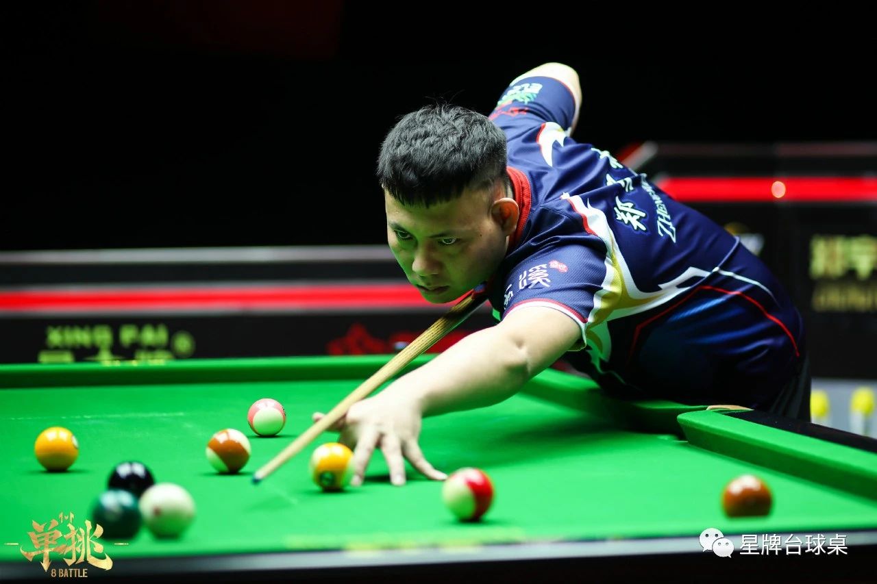 整体表现出 整体表现出